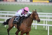 28 December 2008; Exotic Dancer, with Tony McCoy up, races clear of the last on the way to winning the Lexus Steeplechase. Leopardstown Christmas Racing Festival 2008, Leopardstown. Picture credit: Brian Lawless / SPORTSFILE