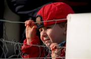 30 October 1999; A Cork supporter during the Church & General National Football League Division 1A Round 1 match between Cork and Kerry at Páirc Uí Rinn in Cork. Photo by Brendan Moran/Sportsfile