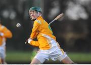 18 January 2009; Antrim's Paul Shields. Walsh Cup, Laois v Antrim, Kelly Daly Park, Rathdowney, Co. Laois. Picture credit: Brian Lawless / SPORTSFILE