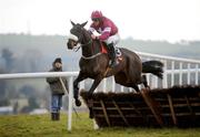 1 February 2009; Sorceror, with Davy Russell up, clears the last on the way to winning the Kilpedder Syndicate Maiden Hurdle. Punchestown Racecourse, Co. Kildare. Picture credit: Brian Lawless / SPORTSFILE