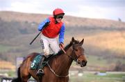 10 March 2009; Ruby Walsh celebrates after winning the David Nicholson Mares Only Hurdle, onboard Quevega. Cheltenham Racing Festival - Tuesday, Prestbury Park, Cheltenham, Gloucestershire, England. Picture credit: Stephen McCarthy / SPORTSFILE