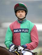 13 March 2009; Jockey Andrew Thornton, onboard Miko De Beauchene, before the totesport Cheltenham Gold Cup Steeple Chase. Cheltenham Racing Festival, Prestbury Park, Cheltenham, Gloucestershire, England. Picture credit: Stephen McCarthy / SPORTSFILE