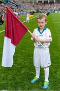 6 September 2015; Liberty Insurance flagbearer Joe Davitt, age 7, and a member of Ranelagh Gaels GAA club in Dublin, at the All Ireland Senior Hurling Final between Galway & Kilkenny, Croke Park, Dublin . Picture credit: Brendan Moran / SPORTSFILE