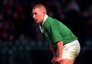 11 November 2000; Peter Stringer of Ireland during the International Rugby friendly match between Ireland and Japan at Lansdowne Road in Dublin. Photo by Ray Lohan/Sportsfile