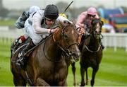 13 September 2015; Ribbons, with Tom Queally up, on their way to winning the Moyglare 'Jewels' Blandford Stakes. Irish Champions Weekend. The Curragh, Co. Kildare. Picture credit: Cody Glenn / SPORTSFILE