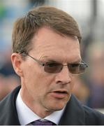 13 September 2015; Trainer Aidan O'Brien in the parade ring after his horse Minding won the Moyglare Stud Stakes. Irish Champions Weekend. The Curragh, Co. Kildare. Picture credit: Cody Glenn / SPORTSFILE