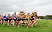 18 October 2015; The start of the Senior Women's race. Autumn Open Cross Country. Phoenix Park, Dublin. Picture credit: Tomás Greally / SPORTSFILE