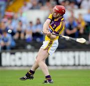 21 June 2009; Paul Roche, Wexford. GAA Hurling Leinster Senior Championship Semi-Final, Dublin v Wexford, Nowlan Park, Kilkenny. Picture credit: Brian Lawless / SPORTSFILE