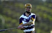 26 November 2000; Brian Walton of UCD during the AIB Leinster Senior Hurling Championship Final between Graigue-Ballycallan and University College Dublin at Nowlan Park in Kilkenny. Photo by Ray McManus/Sportsfile