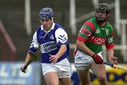 4 November 2000; Robert Delaney of Castletown in action against Gary Hanniffy of Birr during the AIB Leinster Club Hurling Championship Quarter-Final match between Castletown and Birr at O'Moore Park in Portlaoise, Laois. Photo by Ray McManus/Sportsfile