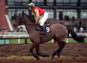 16 January 2000; Bobbyjo, with Paul Carberry up, canters to the start of the Teal Extended Handicap Hurdle at Fairyhouse Racecourse in Meath. Photo by Ray McManus/Sportsfile