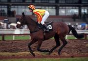16 January 2000; King's Valley, with Neil Mulholland up, canters to the start of the Teal Extended Handicap Hurdle at Fairyhouse Racecourse in Meath. Photo by Ray McManus/Sportsfile