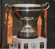 8 November 2015; The cup before the game. Continental Tyres FAI Women's Senior Cup Final, Wexford Youths WAFC v Shelbourne Ladies FC. Aviva Stadium, Dublin. Picture credit: Eóin Noonan / SPORTSFILE