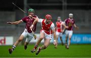 15 November 2015; David Treacy, Cuala, in action against Shane Prendergast, Clara. AIB Leinster GAA Senior Club Hurling Championship, Semi-Final, Cuala v Clara. Parnell Park, Dublin. Picture credit: Ray McManus / SPORTSFILE