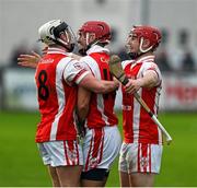 15 November 2015; Cuala players Jake Malone, 8, Colm Cronin anfd David Treacy celebrate on the final whistle. AIB Leinster GAA Senior Club Hurling Championship, Semi-Final, Cuala v Clara. Parnell Park, Dublin. Picture credit: Ray McManus / SPORTSFILE