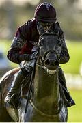 18 November2015; Bryan Cooper on Ice Cold Soul during the Fairyhouse Membership 2016 Now Available Maiden Hurdle. Fairyhouse Racecourse, Fairyhouse, Co. Meath. Picture credit: Matt Browne / SPORTSFILE