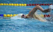 5 December 2015; Ethan O'Brien, Limerick, competing in the Men's 1500m Freestyle, where he finished third in a time of 15:55.73. Swim Ireland Irish Open Short Course Championships 2015. Lisburn Leisureplex, Lisburn Leisure Park, Lisburn, County Antrim. Photo by Sportsfile