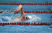 5 December 2015; Brendan Gibbons, Athlone, on his way to winning the Men's 1500m Freestyle event, in a time of 15:19.99. Swim Ireland Irish Open Short Course Championships 2015. Lisburn Leisureplex, Lisburn Leisure Park, Lisburn, County Antrim. Photo by Sportsfile