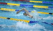 5 December 2015; Becky Firth, Ards, on her way to winning the A Final of the Women's 50m Freestyle Finals with a time of 29.19. Swim Ireland Irish Open Short Course Championships 2015. Lisburn Leisureplex, Lisburn Leisure Park, Lisburn, County Antrim. Photo by Sportsfile