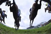 29 December 2015; The runners and riders jump the second during the Martinstown Opportunity Handicap Steeplechase. Leopardstown Christmas Racing Festival, Leopardstown Racecourse, Dublin. Picture credit: Matt Browne / SPORTSFILE