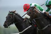 3 October 2009; Roseska, far side, with Mick Darcy up, goes past second place Chebona Bula with Shay Barry on their way to winning the Kilkenny 3 Year Old Hurdle. Gowran Park, Co. Kilkenny. Picture credit: Matt Browne / SPORTSFILE