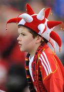 3 October 2009; Munster supporter Christopher Jenkins from Manorhamilton, Co. Leitrim ahead of the game. Celtic League, Leinster v Munster, RDS, Dublin. Picture credit: Stephen McCarthy / SPORTSFILE