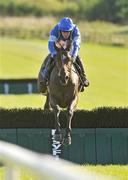 11 October 2009; Warne, with Andrew McNamara up, jumps the last on their way to winning the The Newenham Mulligan Novice Hurdle. Greenmount Park, Patrickswell, Co. Limerick. Picture credit: Diarmuid Greene / SPORTSFILE