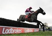 14 January 2016; Don Cossack, with Bryan Cooper up, clears the last on their way to winning the Ladbrokes Ireland Kinloch Brae Steeplechase. Thurles racecourse, THurles, Co. Tipperary. Picture credit: Sam Barnes / SPORTSFILE