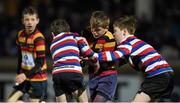 16 January 2016; Action from the Bank of Ireland Half-Time Mini Games between Lansdowne FC and North Kildare during the European Rugby Champions Cup, Pool 5, Round 5, clash between Leinster and Bath at the RDS Arena, Ballsbridge, Dublin. Picture credit: Stephen McCarthy / SPORTSFILE