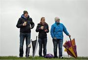 24 January 2016; A group of Wexford supporters watch the game from atop a hill. Bord na Mona Walsh Cup, Semi-Final, Wexford v Offaly, Kennedy Park, New Ross, Co. Wexford. Picture credit: Sam Barnes / SPORTSFILE