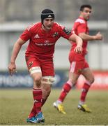 24 January 2016; Tommy O'Donnell, Munster. European Rugby Champions Cup, Pool 4, Round 6, Benetton Treviso v Munster. Stadio Comunale di Monigo, Treviso, Italy. Picture credit: Diarmuid Greene / SPORTSFILE