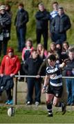 3 February 2016; Daniel Hurley, Crescent College. Munster Schools Senior Cup, Quarter-Final, Rockwell College v Crescent College Comprehensive, Clanwilliam RFC, Tipperary. Picture credit: Piaras Ó Mídheach / SPORTSFILE