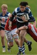 3 February 2016; Jake Fehilly, Crescent College, is tackled by Paddy Murchan, left, and Mike Casey, Rockwell College. Munster Schools Senior Cup, Quarter-Final, Rockwell College v Crescent College Comprehensive, Clanwilliam RFC, Tipperary. Picture credit: Piaras Ó Mídheach / SPORTSFILE