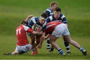 3 February 2016; Bailey Faloon, Crescent College, is tackled by Paudie Leamy, left, and James Kendrick, Rockwell College. Munster Schools Senior Cup, Quarter-Final, Rockwell College v Crescent College Comprehensive, Clanwilliam RFC, Tipperary. Picture credit: Piaras Ó Mídheach / SPORTSFILE