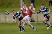 3 February 2016; Jake Flannery, Rockwell College. Munster Schools Senior Cup, Quarter-Final, Rockwell College v Crescent College Comprehensive, Clanwilliam RFC, Tipperary. Picture credit: Piaras Ó Mídheach / SPORTSFILE