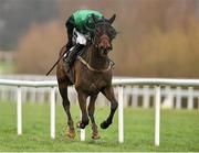 6 February 2016; Footpad, with Danny Mullins up, on their way to winning the GAIN Spring Juvenile Hurdle. Horse Racing from Leopardstown. Leopardstown, Co. Dublin. Picture credit: Matt Browne / SPORTSFILE