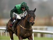 6 February 2016; Footpad, with Danny Mullins up, on their way to winning the GAIN Spring Juvenile Hurdle. Horse Racing from Leopardstown. Leopardstown, Co. Dublin. Picture credit: Matt Browne / SPORTSFILE