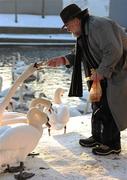 8 January 2010; Danny O'Connor, from Mount Tallant Avenue, Terenure, Dublin, feeding the swans on the banks of the Grand Canal at Harolds Cross Bridge, Dublin. Picture credit: Ray McManus / SPORTSFILE