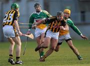 31 January 2010; P.J. Delaney, Kilkenny, in action against Ger Oakley and Daniel Currams, left, Offaly. Walsh Cup Quarter-Final, Offaly v Kilkenny, O'Connor Park, Tullamore, Co. Offaly. Picture credit: Brian Lawless / SPORTSFILE