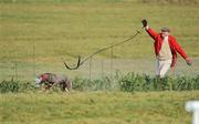 1 February 2010; Slipper Tom Murphy, slipping Tullamoy Queen and Becky during the first round of the Hotel Minella Oaks. 85th National Coursing Meeting - Monday, Powerstown Park, Clonmel, Co. Tipperary. Picture credit: David Maher / SPORTSFILE