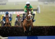 6 February 2010; Captain Cee Bee, with Mark Walsh up, clears the last on their way to winning the BBA Ireland Limited Opera Hat Novice Steeplechase. Woodlands Park Racecourse, Naas, Co. Kildare. Picture credit: Pat Murphy / SPORTSFILE