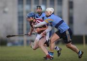 10 February 2010; David Barrett, NUI Galway, in action against John O'Loughlin, UCD. Ulster Bank Fitzgibbon Cup Round 2, Univercity College Dublin v National University of Ireland, Galway, Belfield, Dublin. Picture credit: Daire Brennan / SPORTSFILE