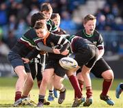 5 March 2016; Action from the Bank of Ireland half-time mini rugby game between De La Salle Palmerstown RFC and Kilkenny RFC at the Guinness PRO12, Round 17, clash between Leinster and Ospreys at the RDS Arena, Ballsbridge, Dublin. Picture credit: Stephen McCarthy / SPORTSFILE