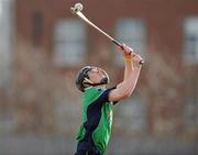 16 February 2010; Nicky O'Connell, LIT. Ulster Bank Fitzgibbon Cup Round 3, Limerick Institute of Technology v Galway Mayo Institute of Technology. Limerick IT, Limerick. Picture credit: Diarmuid Greene / SPORTSFILE