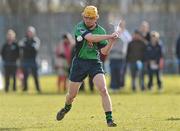 16 February 2010; Paul Browne,  LIT. Ulster Bank Fitzgibbon Cup Round 3, Limerick Institute of Technology v Galway Mayo Institute of Technology. Limerick IT, Limerick. Picture credit: Diarmuid Greene / SPORTSFILE