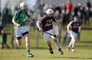 21 February 2010; Niall Hayes, Galway, in action against Brian O'Sullivan, Limerick. Allianz GAA Hurling National League, Division 1 Round 1, Limerick v Galway, John Fitzgerald Park, Kilmallock, Co. Limerick. Picture credit: Brendan Moran / SPORTSFILE