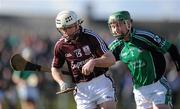 21 February 2010; Niall Hayes, Galway, in action against Brian O'Sullivan, Limerick. Allianz GAA Hurling National League, Division 1 Round 1, Limerick v Galway, John Fitzgerald Park, Kilmallock, Co. Limerick. Picture credit: Brendan Moran / SPORTSFILE