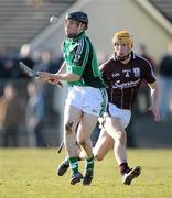 21 February 2010; Graeme Mulcahy, Limerick, in action against Pat Holland, Galway. Allianz GAA Hurling National League, Division 1 Round 1, Limerick v Galway, John Fitzgerald Park, Kilmallock, Co. Limerick. Picture credit: Brendan Moran / SPORTSFILE