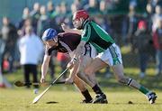 21 February 2010; Cyril Donnellan, Galway, in action against Andrew Brennan, Limerick. Allianz GAA Hurling National League, Division 1 Round 1, Limerick v Galway, John Fitzgerald Park, Kilmallock, Co. Limerick. Picture credit: Brendan Moran / SPORTSFILE