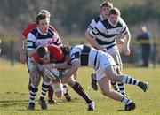 7 March 2010; Tom Goggin, St Munchin's, is tackled by Ronan Barry, left, and Jack Duffy, PBC. Avonmore Munster Rugby Schools Senior Cup Semi-Final, St Munchin's v PBC, Young Munster RFC, Tom Clifford Park, Rosbrien, Limerick. Picture credit: Diarmuid Greene / SPORTSFILE *** Local Caption ***